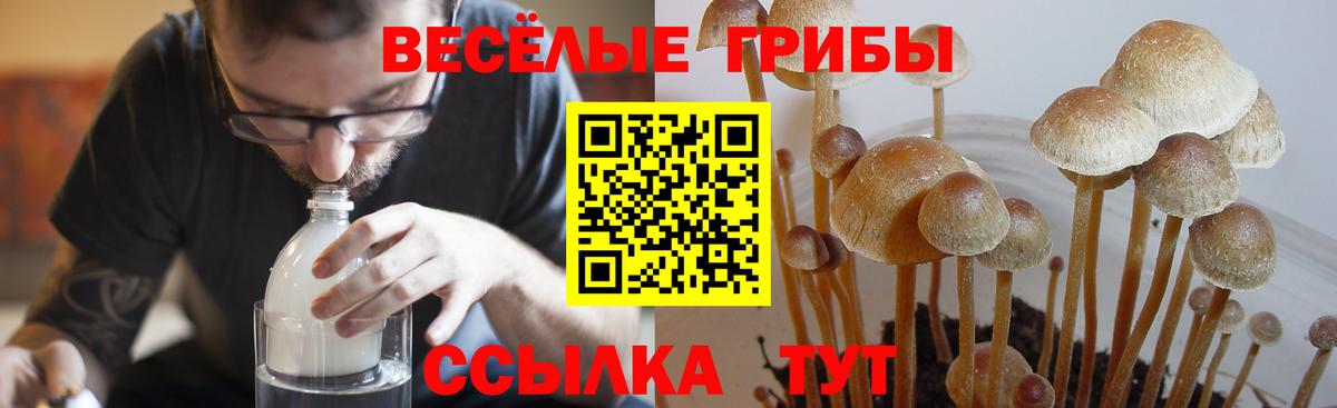 Галлюциногенные грибы Magic Shrooms Лениногорск